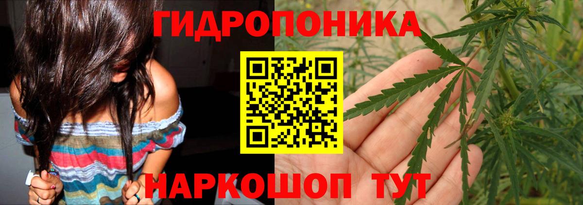 Бошки Шишки OG Kush  МАРИХУАНА MAZAR  Ипатово  Бошки Шишки марихуана  Вход с VPN 